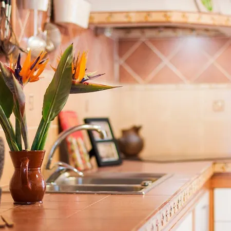 Casa Mi Tio Perico *